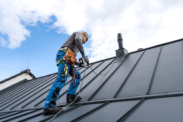 Best Metal Roofing Installation  in The Villages, FL